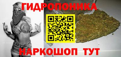 прущий лед Бийск