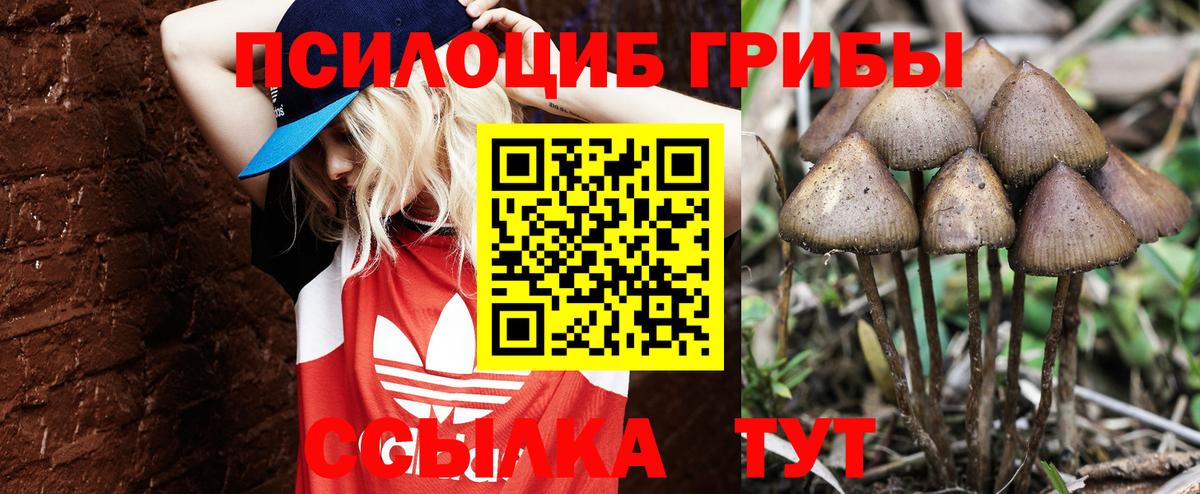 Галлюциногенные грибы мухоморы  Псилоцибиновые грибы Psilocybine cubensis  Вход с VPN  Керчь 